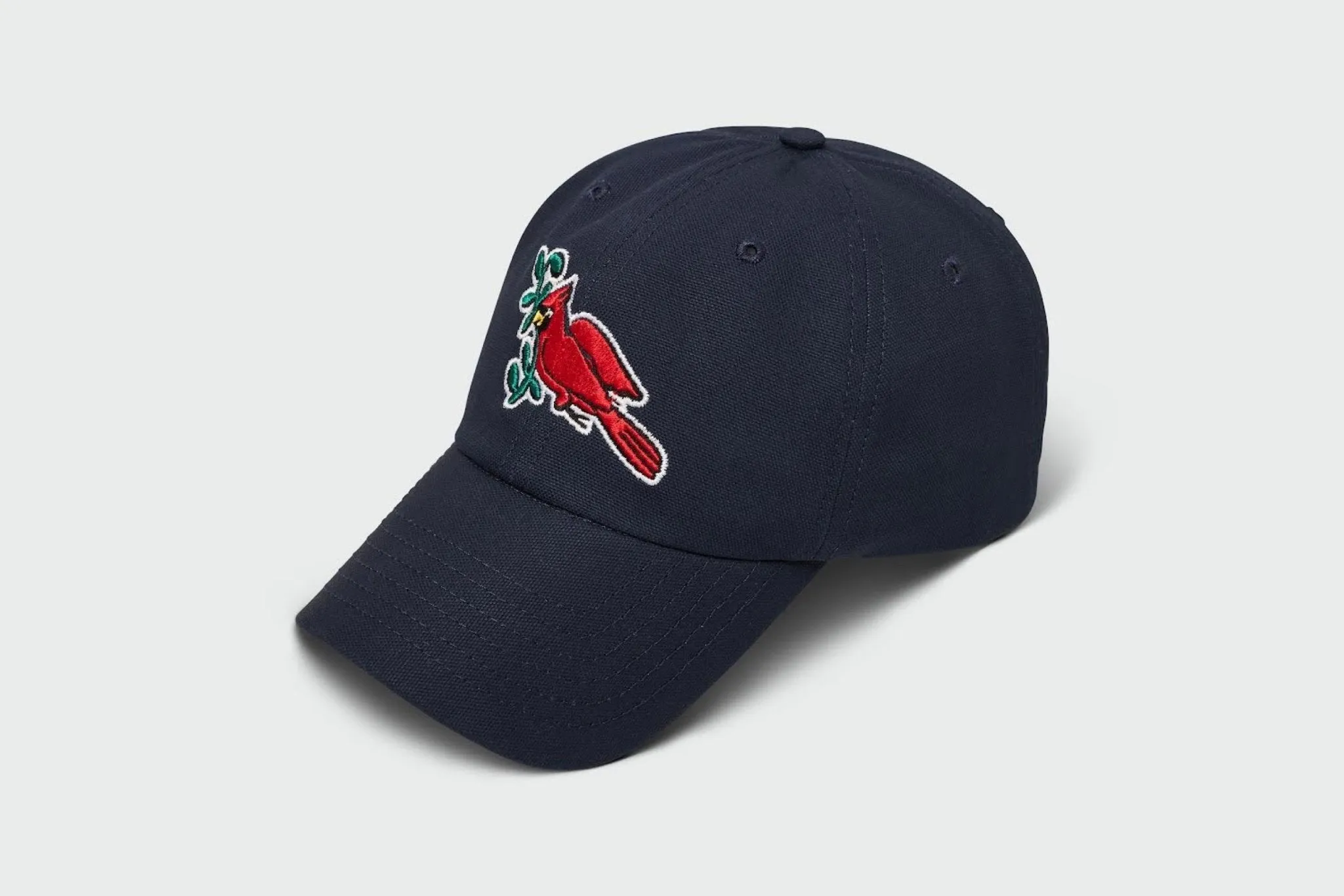 USA Made Organic Bird Hat