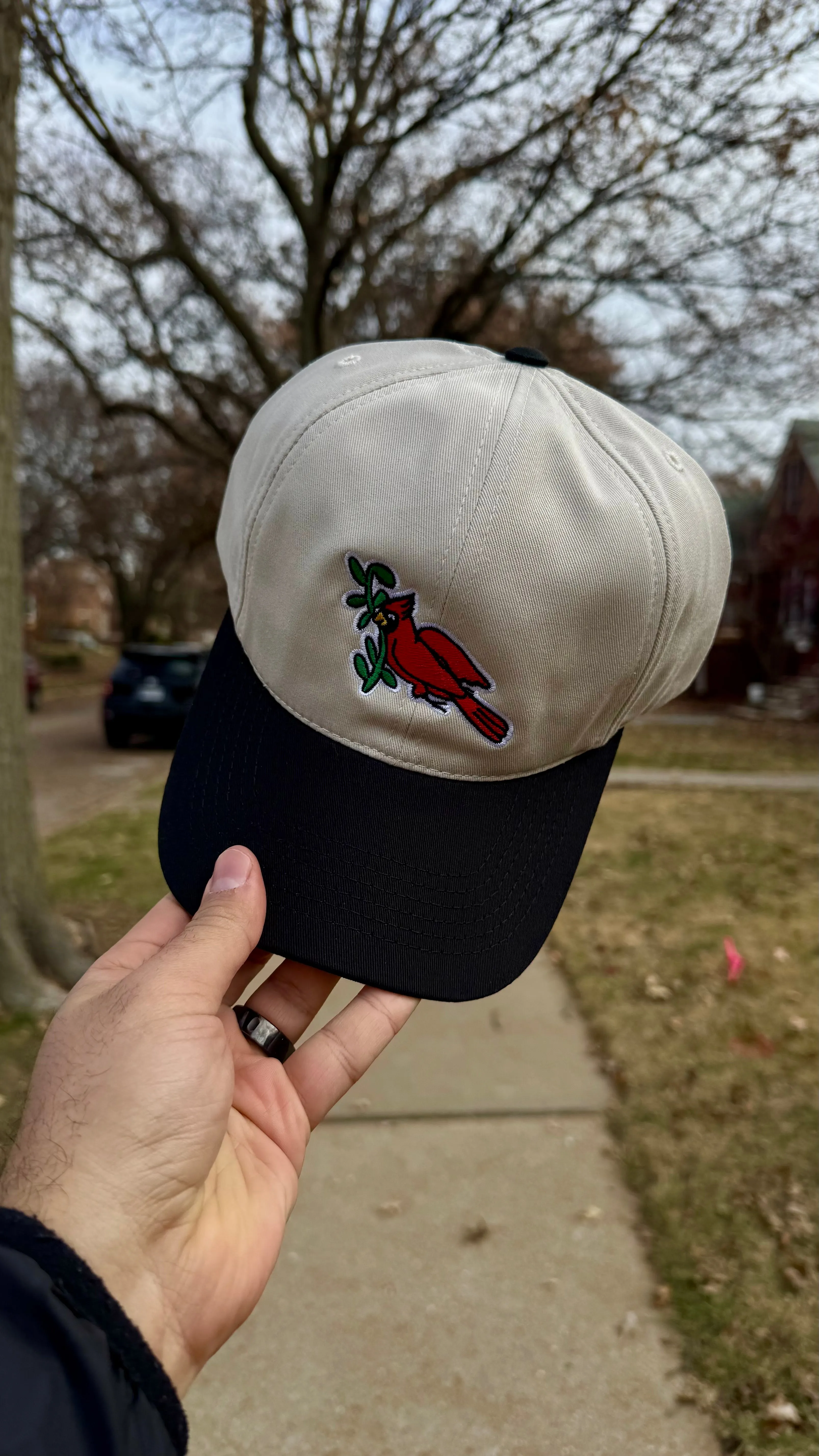 USA Made Organic Bird Hat