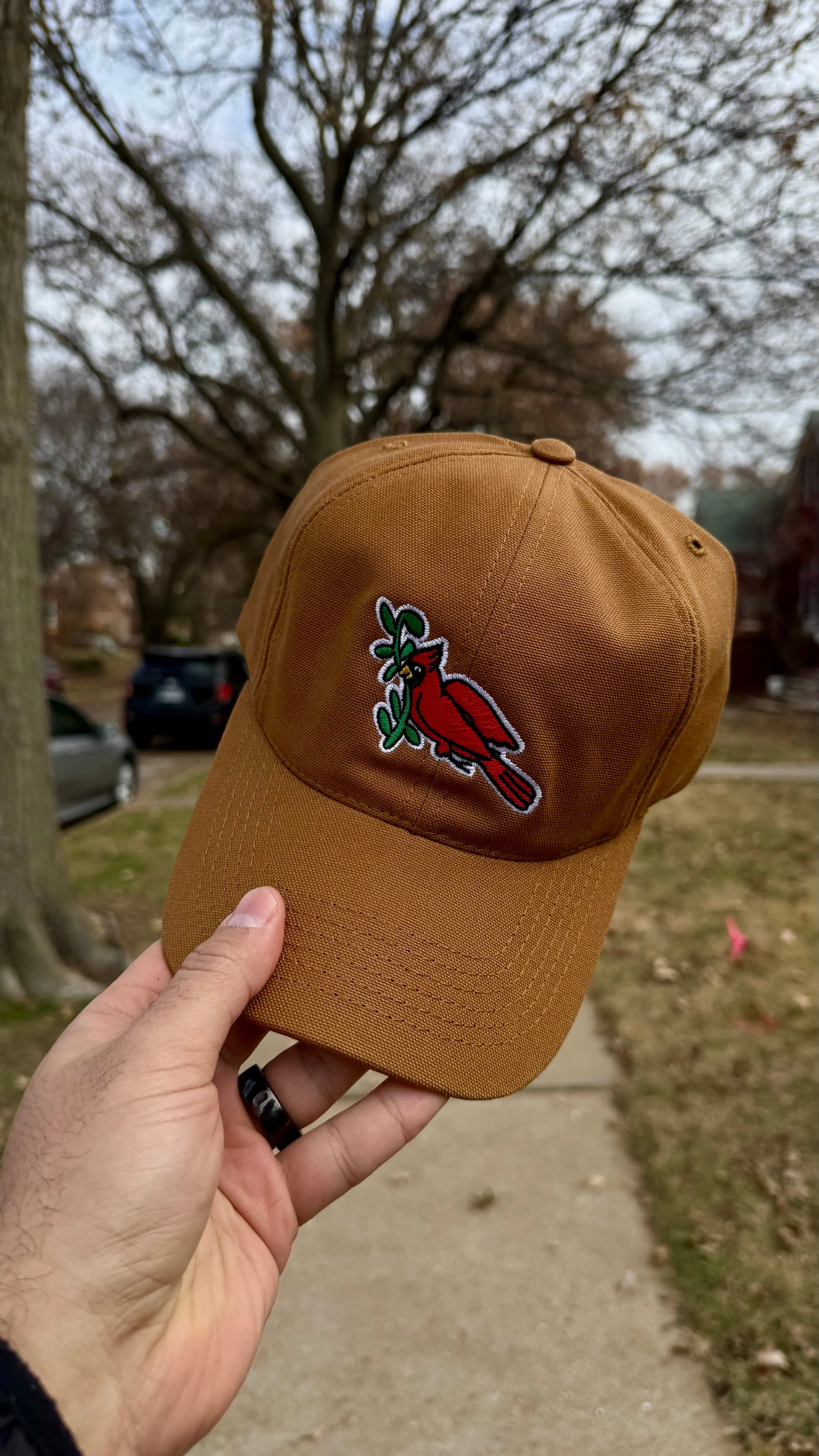 USA Made Organic Bird Hat